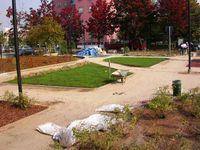 Progettazione e direzione lavori per la sicurezza di parchi e giardini